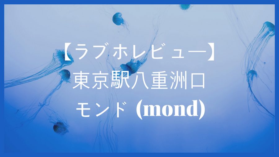 ラブホレビュー 東京駅唯一のラブホ風レンタルルーム モンド Mond に行ってみた